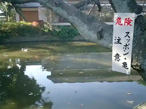 鶴岡八幡宮の庭園