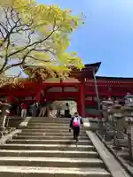 春日大社(奈良県)