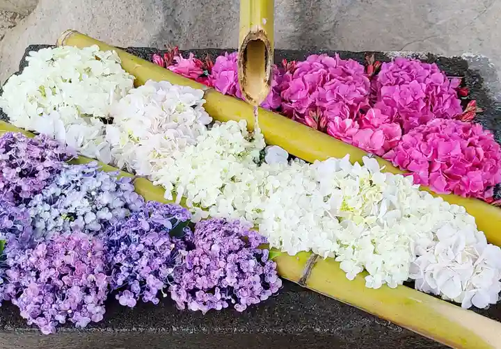 差出磯大嶽山神社 仕事と健康と厄よけの神さまの手水舎
