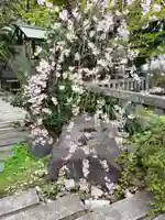 乃木神社(東京都)
