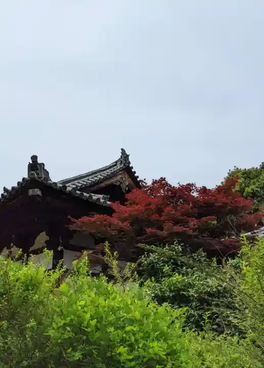 海龍王寺(奈良県)