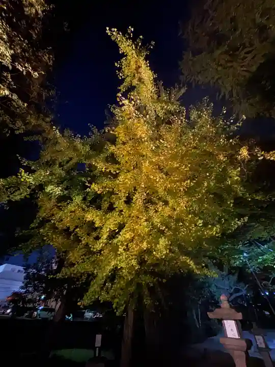 三栖神社(京都府)