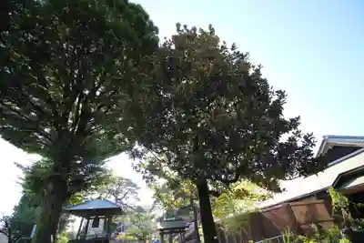 光明院(東京都)