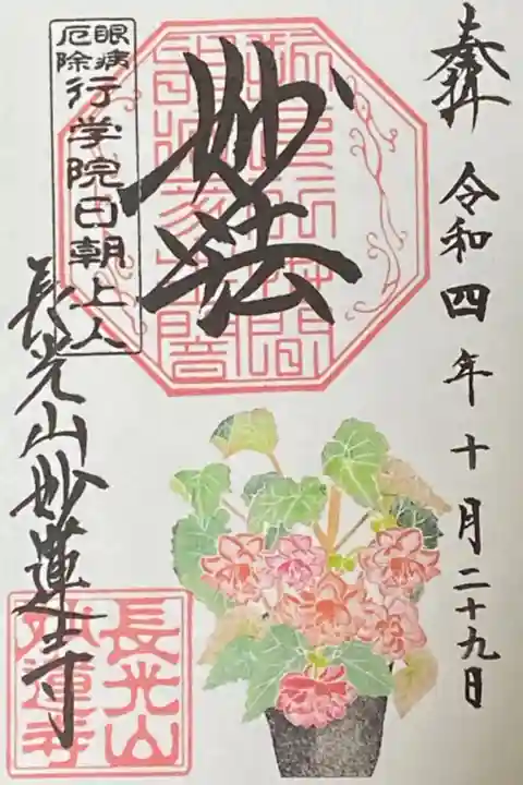 10月御朱印
ベコニア