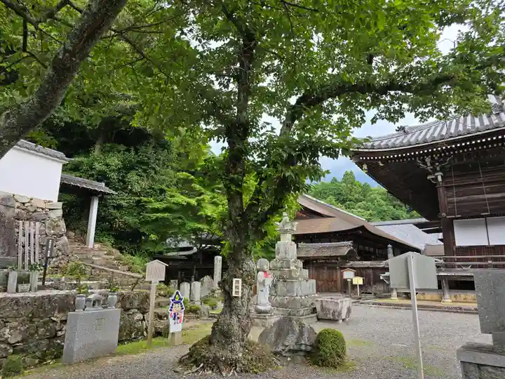 西教寺(滋賀県)