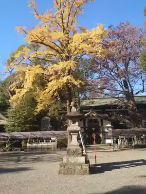 大國魂神社のその他建物