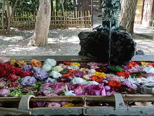 世田谷八幡宮(東京都)