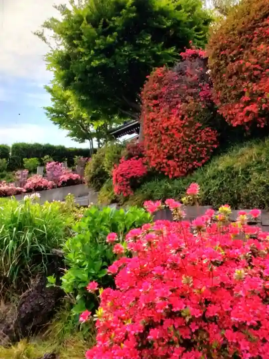 神足寺(東京都)