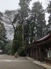 白山比咩神社の建物その他