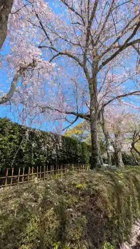 蓮華院(滋賀県)