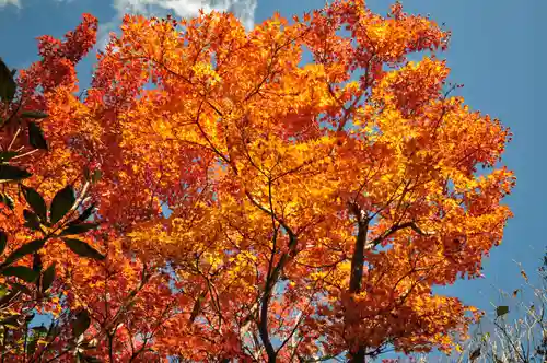 石鎚神社頂上社(愛媛県)
