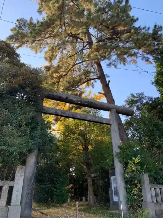 忍 諏訪神社・東照宮 の鳥居