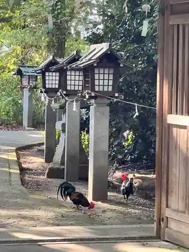 伊佐須美神社(福島県)