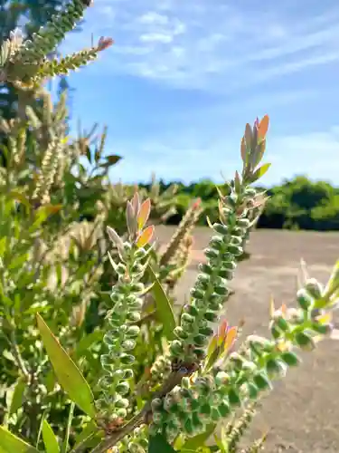 鹿嶋三嶋神社(茨城県)