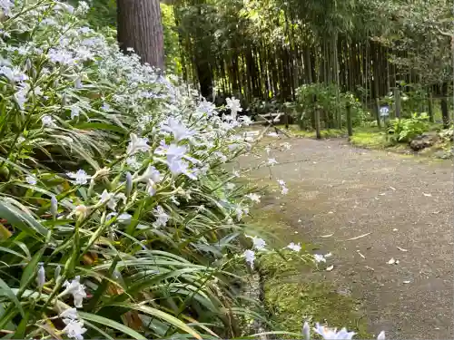浄智寺(神奈川県)