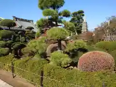 惣宗寺（佐野厄除け大師）の庭園