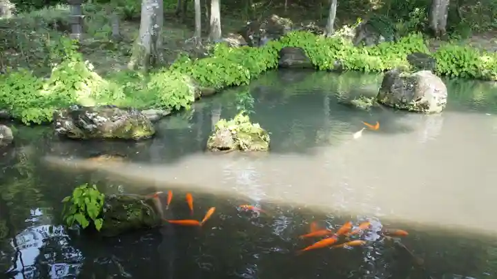 青龍山 吉祥寺(群馬県)