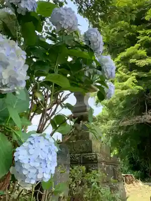 八雲神社の自然