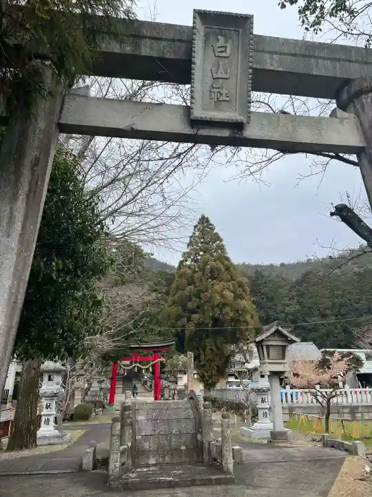 白山神社の{uncategorized: "未分類", other: "その他", undefined: "問題あり", building: "その他建物", grave: "お墓", sacred_gate: "鳥居", guardian: "狛犬", statue: "像", buddha: "仏像", history: "歴史", nature: "自然", garden: "庭園", animal: "動物", pagoda: "塔", temizu: "手水舎", mountain_gate: "山門・神門", sanctuary: "本殿・本堂", subordinate: "末社・摂社", art: "芸術", scenery: "景色", jizo: "地蔵", ema: "絵馬", goshuin: "御朱印", omikuji: "おみくじ", items: "授与品その他", amulet: "お守り", goshuincho: "御朱印帳", eats: "食事", festival: "お祭り", votive_dance: "神楽", shichigosan: "七五三参", wedding: "結婚式", experience: "体験その他", initially: "初詣", around: "周辺", anti_infection: "感染症対策"}