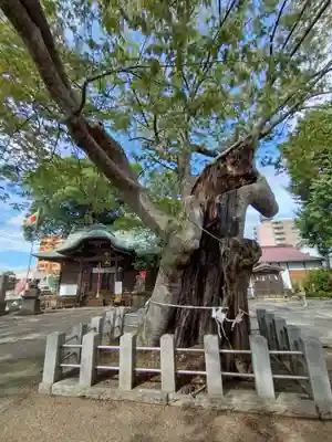 阿邪訶根神社(福島県)