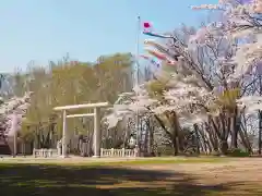 岩内神社の鳥居