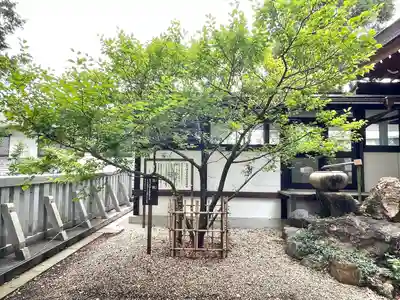 加納天満宮(岐阜県)