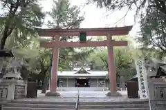 和歌山縣護國神社の鳥居