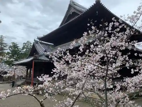 粉河寺の本殿・本堂