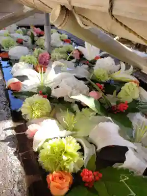 鳩森八幡神社の手水舎
