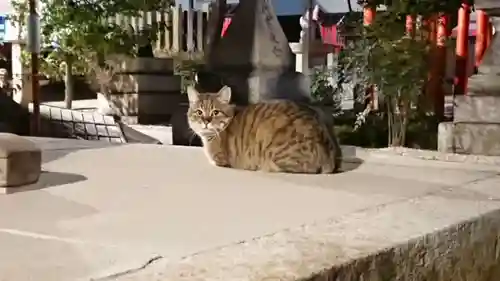 三輪神社の動物