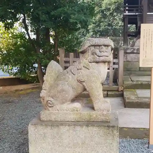 金王八幡宮の狛犬