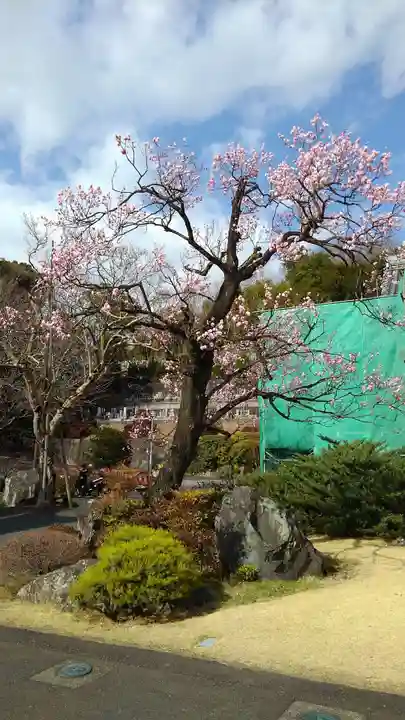 千手院の庭園