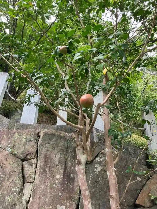 救馬溪観音(和歌山県)