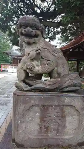 石神井氷川神社の狛犬