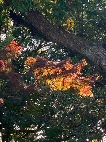 多摩川浅間神社の景色