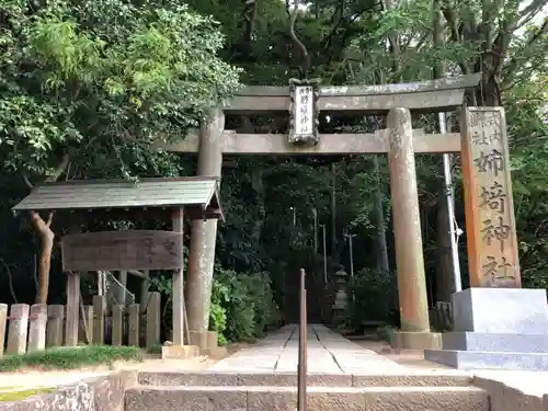 姉埼神社の鳥居