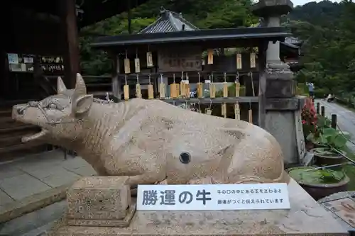三室戸寺(京都府)