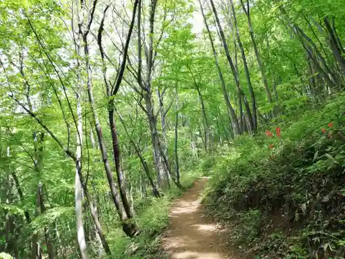 宝登山神社の周辺