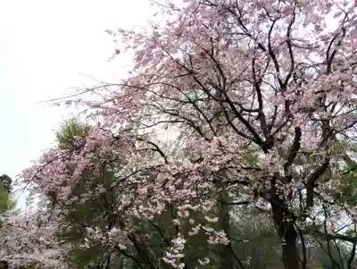 井の頭弁財天(大盛寺)(東京都)