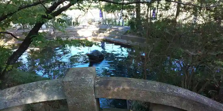 大井神社のその他建物