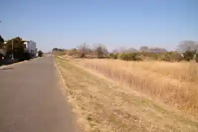 八條八幡神社(埼玉県)