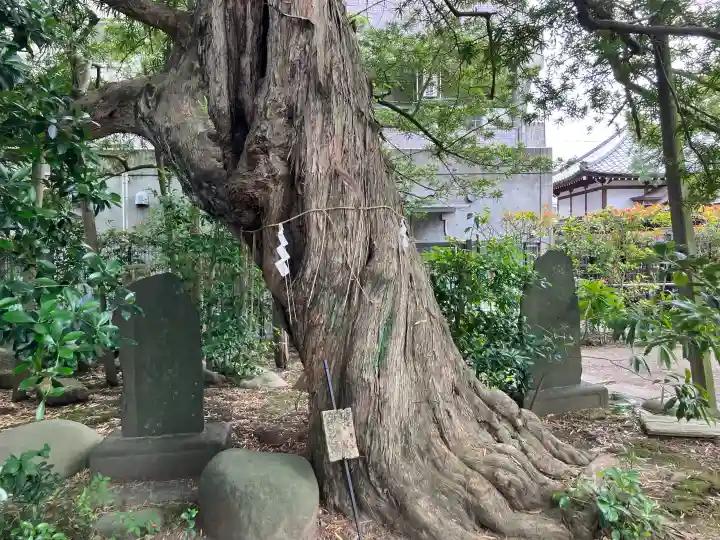 金蓮院(東京都)