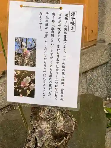 菅原院天満宮神社(京都府)