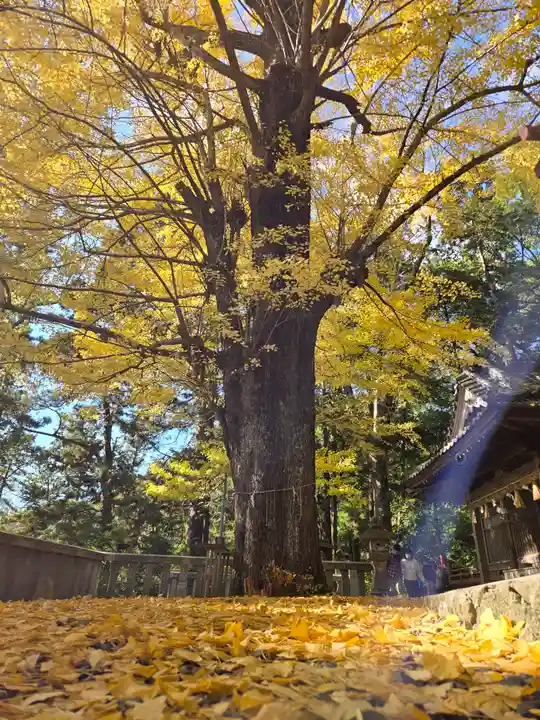 事任八幡宮(静岡県)