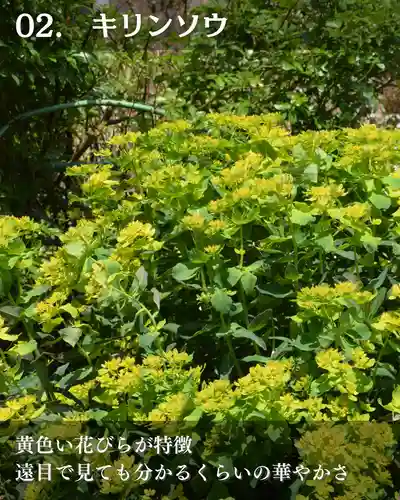 宝光寺(北海道)