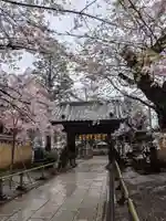 新井薬師(梅照院)(東京都)