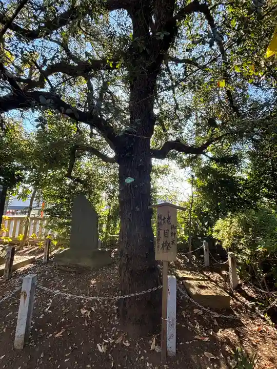 山王稲穂神社(東京都)