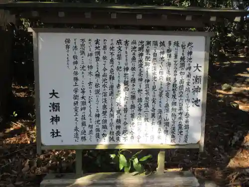 大瀬神社の歴史