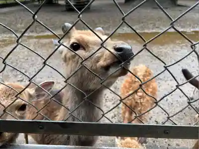 鹿島神宮(茨城県)