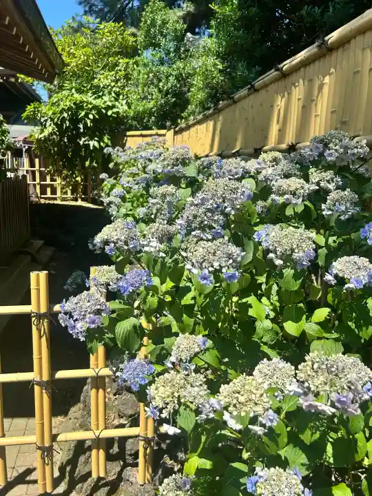 中野沼袋氷川神社(東京都)